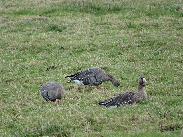 视觉盛宴 视觉盛宴