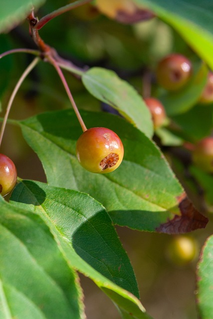 中国足球职 中国足球职