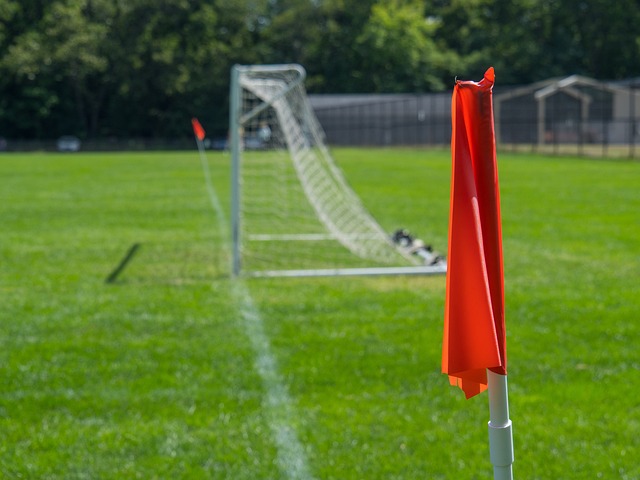 排不仅让球 排不仅让球