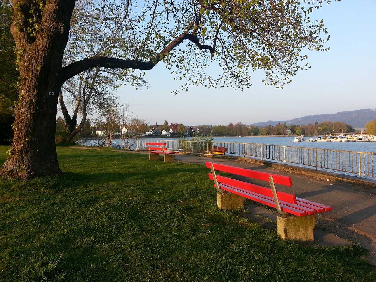 中技巧金牌 中技巧金牌